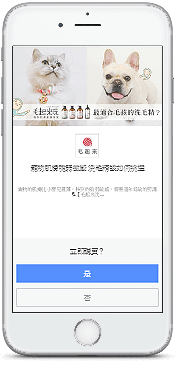 Facebook行動聯播網-插頁廣告