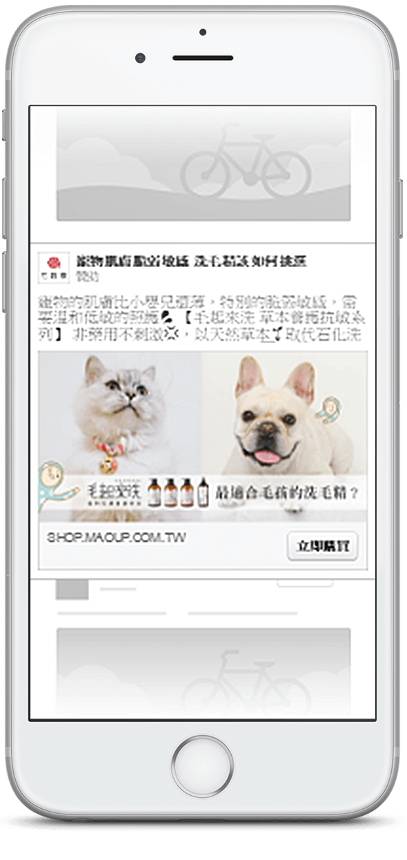 Facebook行動聯播網-原生廣告